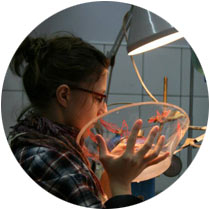 dagna profil