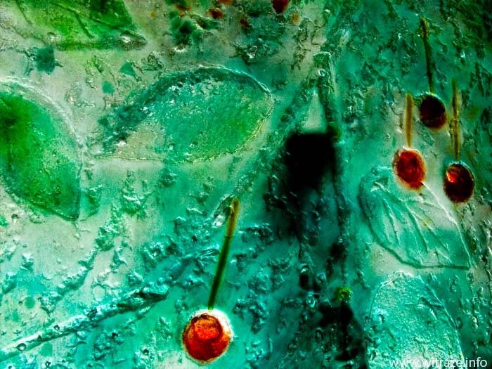 Szkło artystyczne - ściana z motywem czereśni