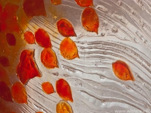 Szklana ściana z oranżowymi listkami