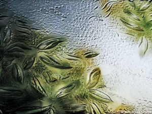 Panel ze szkła artystycznego, dekoracyjnego, reliefowanego, z zielonym motywem roślinnym
