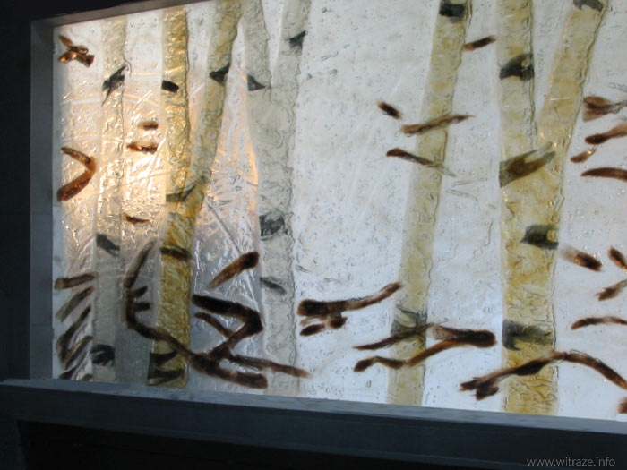 Motyw lasu brzozowego w oknie - szkło artystyczne