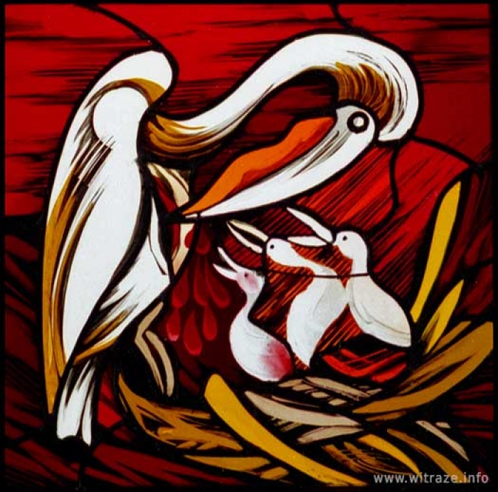 Window 7 Scene 1 - Pelican - Symbol of Christ