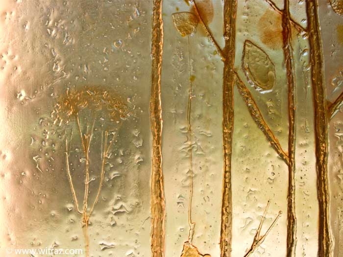 Art glass panel with the amber leaves motif